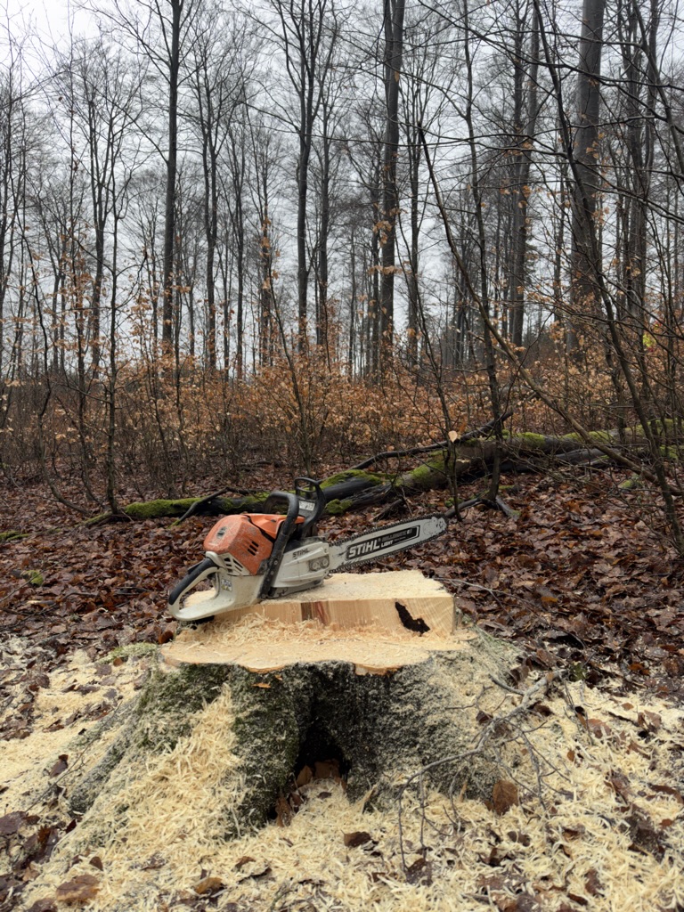 Holzarbeit Herzfeld Lippetal